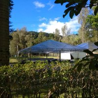 Tenda